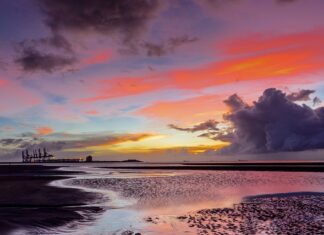 Czy będzie WOS w 8 klasie?