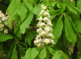 Co trzeba zdać na maturze żeby studiować grafikę? Co trzeba zdać na maturze żeby studiować grafikę?