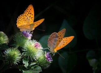 Czy masa to minus? Czy masa to minus?