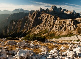 Co Importują państwa słabo rozwinięte?