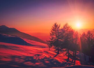 Jaki kraj importuje najwięcej polskich towarów?