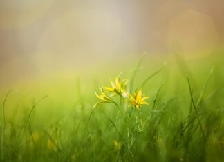 Co wywołuje szok kulturowy? Co wywołuje szok kulturowy?