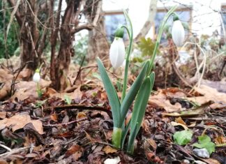 Ile za jedną ankietę? Ile za jedną ankietę?