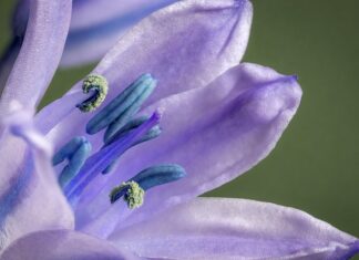 Czy język hiszpański jest przydatny?