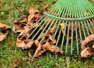 Jaka jest prowizja na Useme? Jaka jest prowizja na Useme?