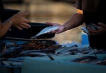 Jak sprzedawać w internecie kurs? Jak sprzedawać w internecie kurs?