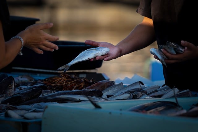 Jak sprzedawać w internecie kurs? Jak sprzedawać w internecie kurs?