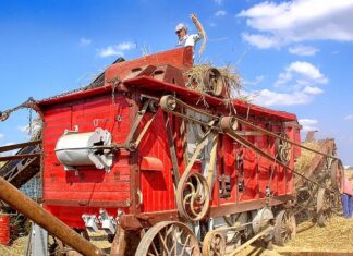 Do jakich zawodów potrzebna jest historia?