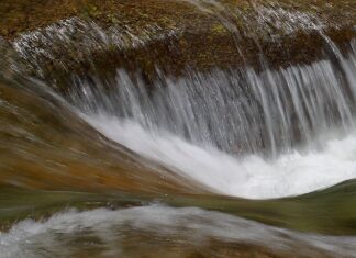 Co daje tytuł licencjata? Co daje tytuł licencjata?