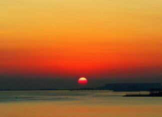 W jakie fundusze warto inwestować? W jakie fundusze warto inwestować?