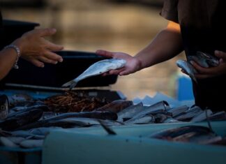 Co opłaca się sprzedawać? Co opłaca się sprzedawać?