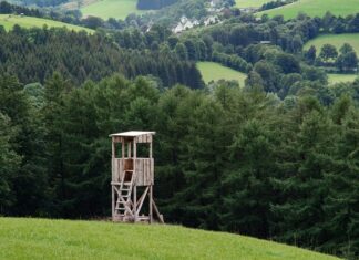 Na czym polegają współprace? Na czym polegają współprace?