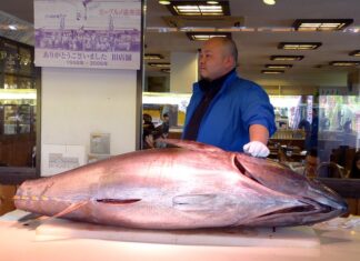 Jakie pytania zadać hurtowni?