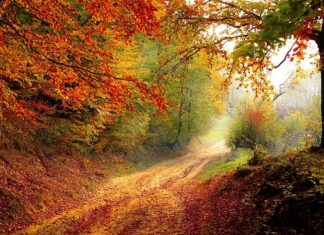 Co powoduje spadek akcji? Co powoduje spadek akcji?