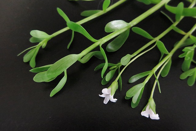 Jak zapamiętać na zawsze? Jak zapamiętać na zawsze?