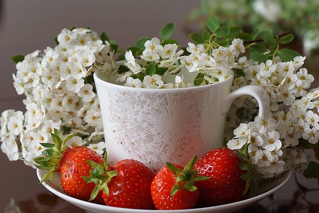 Ile za talerzyk na 18 2023? Ile za talerzyk na 18 2023?