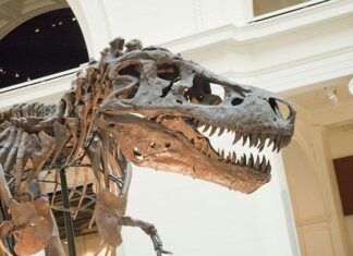 Czy można pozwać zlikwidowana spółkę?