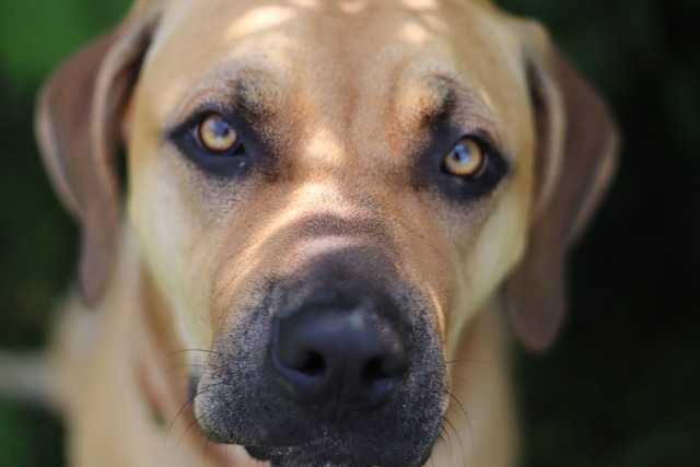 Gdzie dogadam się po hiszpańsku? Gdzie dogadam się po hiszpańsku?