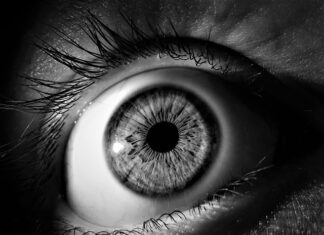 Co warto zobaczyć w Pułtusku? Co warto zobaczyć w Pułtusku?