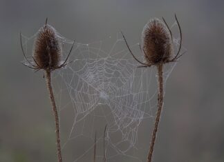 Jak szybko i efektywnie nauczyć się na sprawdzian z historii?