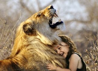 Jak całkowicie wyłączyć cyfrowa równowagę? Jak całkowicie wyłączyć cyfrowa równowagę?