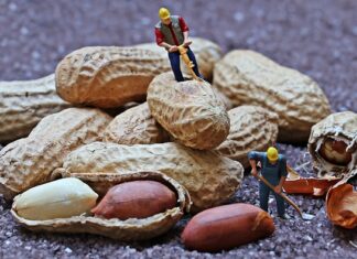 Jak długo pracują programiści?