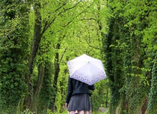 Jak znaleźć swoje konto Google?