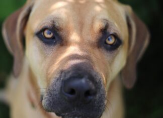 Jak się mówi po hiszpańsku dzień dobry? Jak się mówi po hiszpańsku dzień dobry?