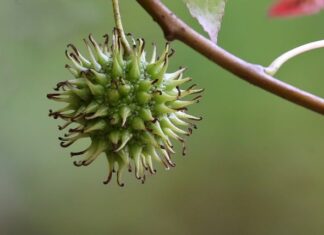 Kiedy kończy się likwidacja spółki? Kiedy kończy się likwidacja spółki?