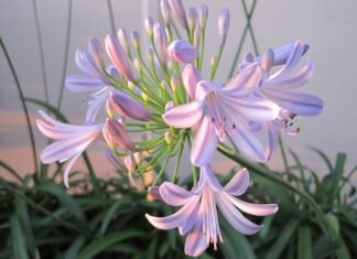 Ile za pozyskanie klienta? Ile za pozyskanie klienta?