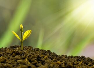 Kto jest odpowiedzialny za rozwój zawodowy? Kto jest odpowiedzialny za rozwój zawodowy?