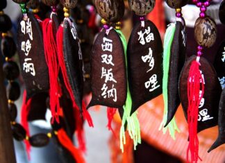 Co to jest duo Meet?