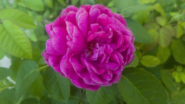 Co wypłaca ZUS po śmierci emeryta? Co wypłaca ZUS po śmierci emeryta?