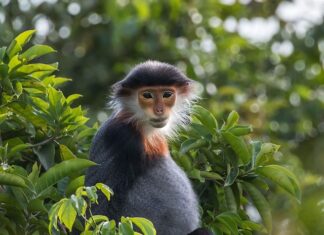 Ile jest rodzajów celów? Ile jest rodzajów celów?
