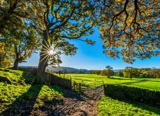 Jak zgłosić rolniczy handel detaliczny? Jak zgłosić rolniczy handel detaliczny?