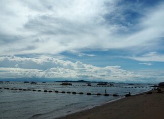 Na czym polega cinkciarz?