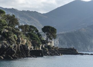 Ile kosztuje zakup akcji? Ile kosztuje zakup akcji?